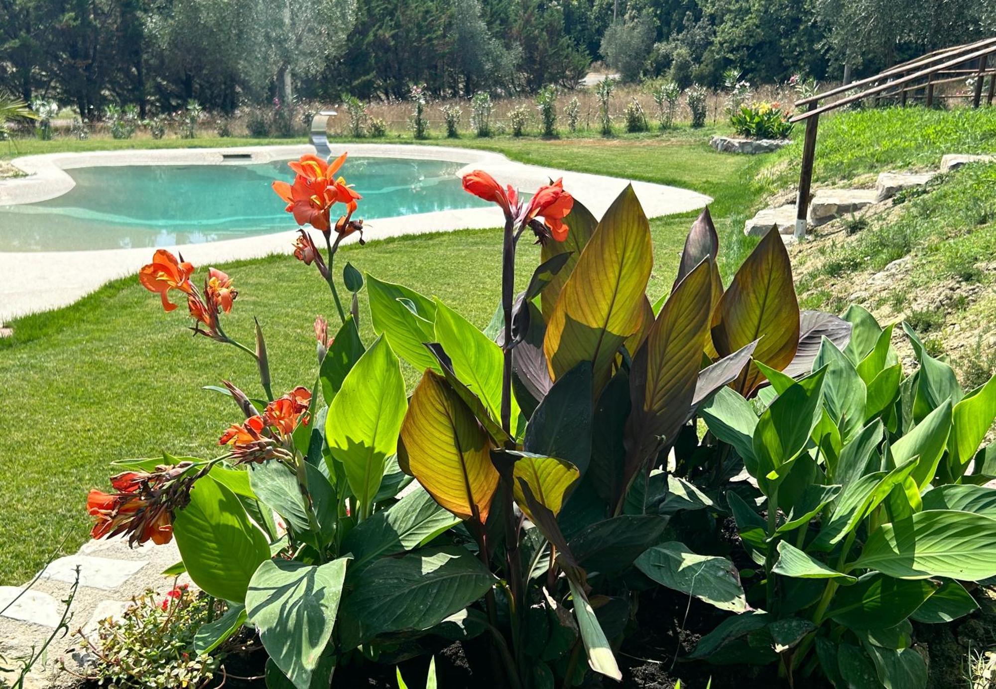 Agriturismo San Ansanino- Piscina Con Spiaggia-Aria Condizionata Pari Kültér fotó