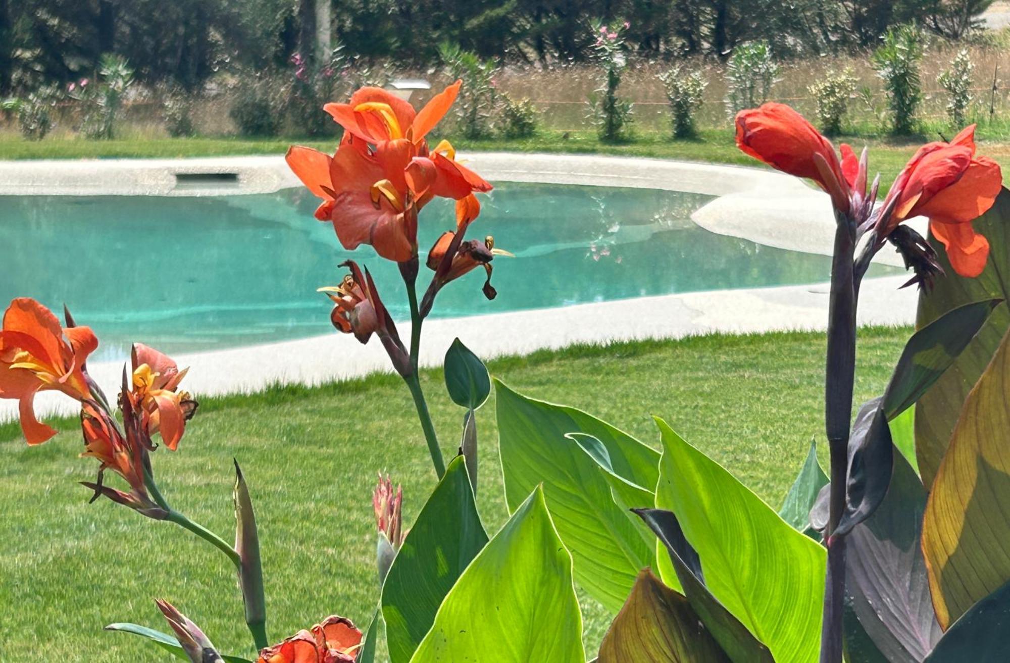 Agriturismo San Ansanino- Piscina Con Spiaggia-Aria Condizionata Pari Kültér fotó